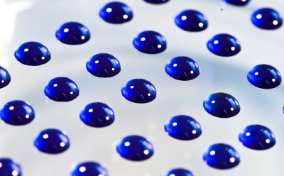 Microbiology Standards