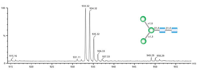 Man-3 聚糖的质谱（相对丰度与 m/z 比率），显示分子离子峰、基峰和碎片峰