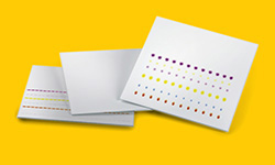 硅胶 TLC 板显示明显分离的彩色斑点