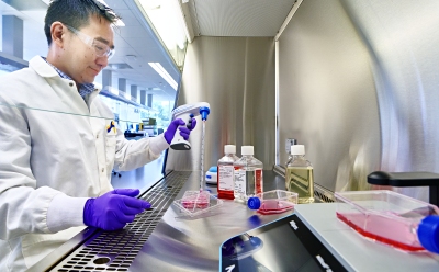 Extracellular matrix