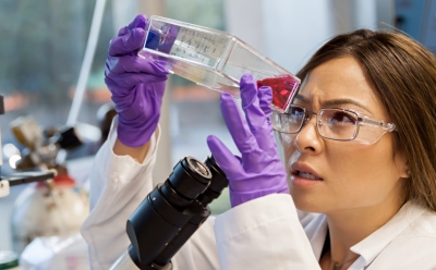 Scientist looking at cells in a flask