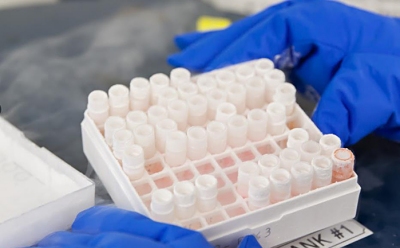 Cell Line Misidentification