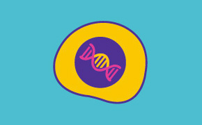 插图以茶色为背景，中间是一个带有 DNA 螺旋线的造型细胞，周围环绕着紫色圆圈和黄色圆环。下面的文字是 "细胞系和表达技术"。