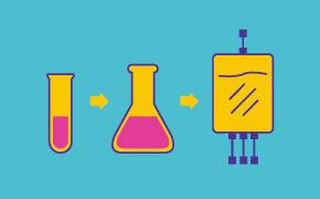 扩展和冷冻保存