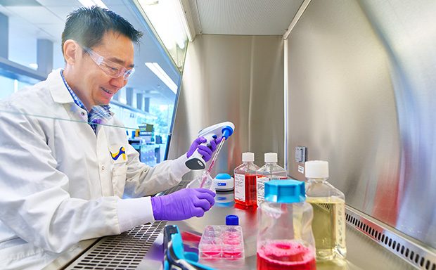 Cell Culture Analysis