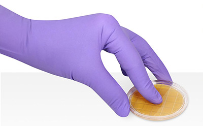 接触平板法进行微生物表面与人员监测