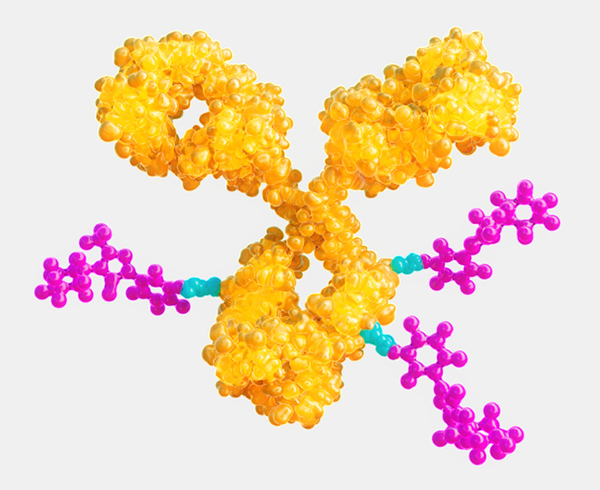 Illustration depicting antibody-drug conjugate (ADC) used to deliver highly active pharmaceutical ingredients