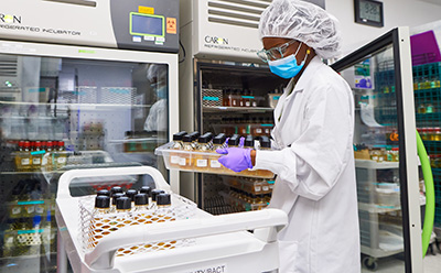 Biotech Resource Hub