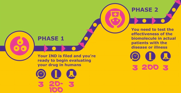 Infographic of Phase I-II biomolecule evaluation stages, including timelines and process requirements