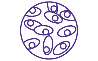 这是一款紫色的线条艺术设计，以圆形图案为特色，其中的对称元素类似于细胞系的发育。