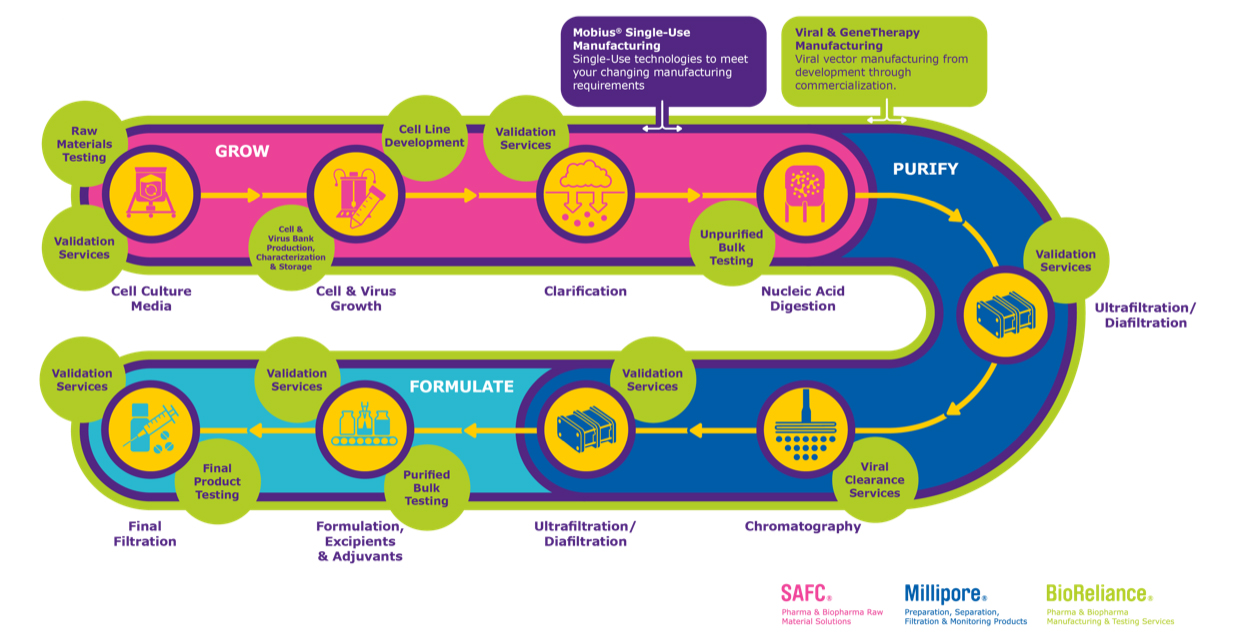 Gene therapy process infographic, from cell culture media to final filtration