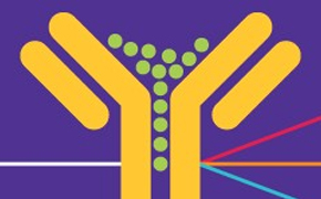 在紫色背景下，黄色抗体与绿色抗原结合，彩色线条代表不同的相互作用或反应。