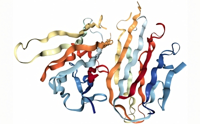 显然图示为一个复杂蛋白质结构的3D模型。蛋白质由多条相互缠绕和折叠的链组成，每条链一种颜色，以区分不同部分。