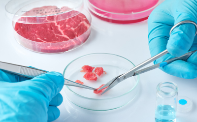 Close-up of hands wearing blue gloves using tweezers and scissors to analyze meat samples in a petri dish. 
