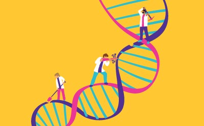 Endonuclease enzymes