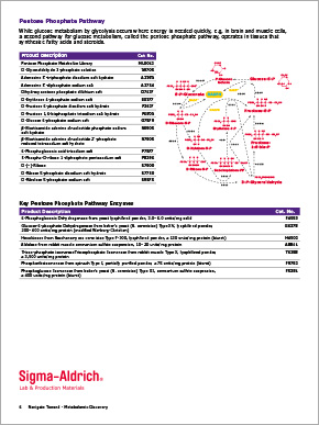 Metabolomic Discovery Brochure Page 6