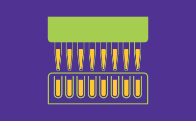 Discovery phase of crop improvement