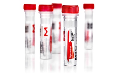 Five vials of ZooMAb® antibodies on a blank background. There are three faded into the background, with one blurry in the foreground and one in focus in front of the other four vials.
