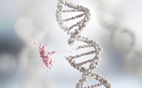 CRISPR Tools for Functional Genomics Screening 3D illustration of double-stranded DNA with excised fragment