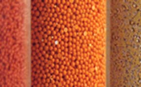 四种不同类型的树脂或分离介质的特写，每种树脂或介质都有独立的垂直部分，具有不同的颜色和纹理。从左到右 红色颗粒：质地细腻的红色颗粒，密密麻麻。橙色种子：均匀、球形、橙色的籽粒紧密排列在一起。褐色籽粒：较小、不太均匀的褐色籽粒，间距较大。淡黄色种子：淡黄色种子中混有黑色小颗粒，看起来密度较低。