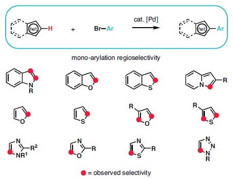 铱催化C–H硼化反应选择性示意图