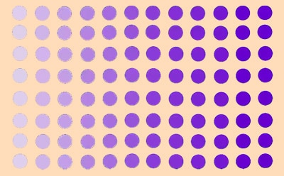 有活力细胞在 96 孔板中将 MTT 代谢为甲臢盐的情况