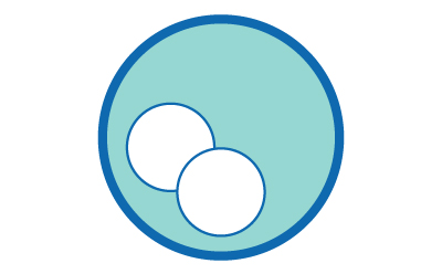 图示：两个没有细胞核的圆形细胞被蓝色圆圈包围，代表胚胎发育的合子阶段。