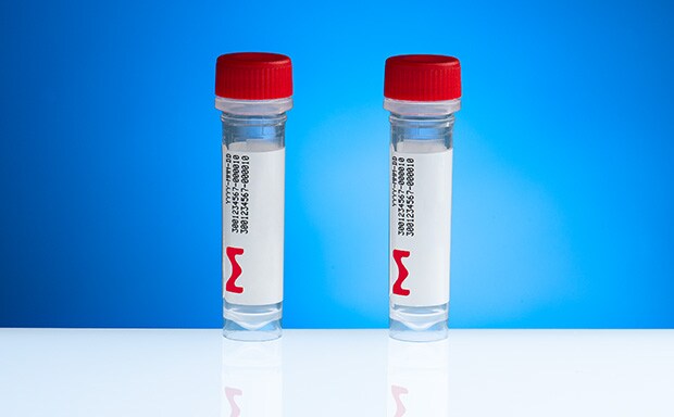 定制和预先设计的 RNA 寡聚体、siRNA 双链体和对照品 两个带红色盖子的实验室样品瓶