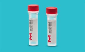 两支管,透明管体、白色内容物和红盖。每管具有不可读条码标签,其底部设计有红色弯曲线条。 两支管,透明管体、白色内容物和红盖。每管具有不可读条码标签,其底部设计有红色弯曲线条。