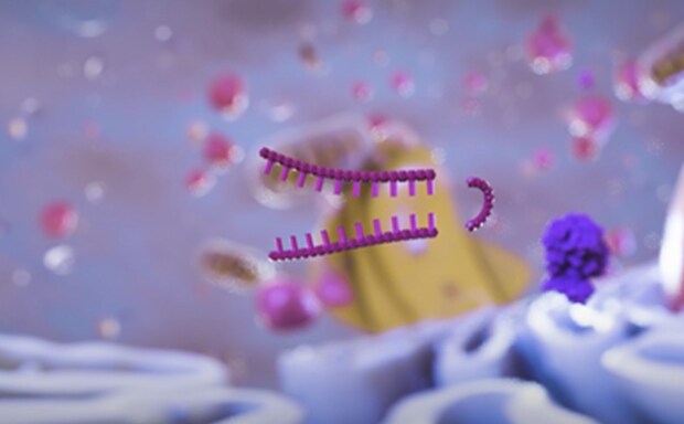 RNAi Single Clones MCP page RNAi 单克隆