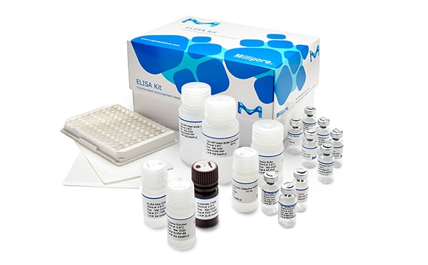 Enzyme-Linked Immunosorbent Assay (ELISA) Kits ELISA试剂盒及试剂