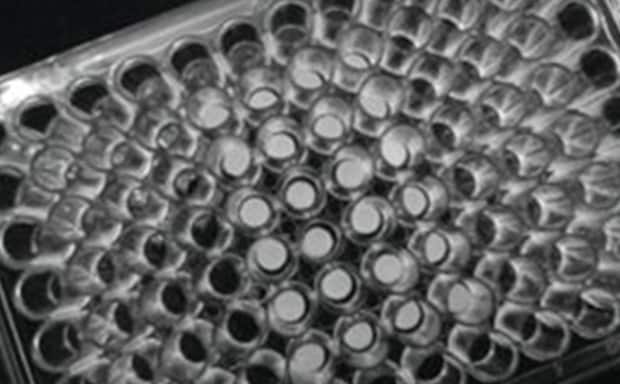 3D Biotek 3D Insert™ PCL Scaffolds A detailed grayscale image of a cell culture plate with multiple wells, highlighting the precision and uniformity essential for cell culture experiments, part of a comprehensive collection of cell culture supplies.