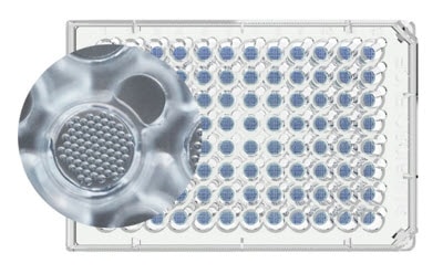 Millicell® Microwell Plates Millicell® Microwell 96 孔板,显示板中孔内的微孔