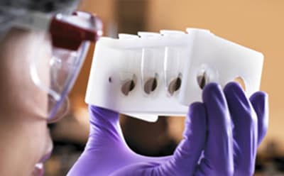 用于蛋白质纯化的磁珠