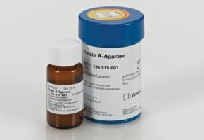 前景是一个棕色小玻璃瓶，白色标签上标有 "Protein A-Agarose"。瓶子后面是一个较大的蓝色塑料容器，上面贴有 "Protein A-Agarose"（蛋白质 A-琼脂糖）的白色标签。