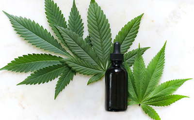 The image displays a black dropper bottle centered among vibrant green cannabis leaves on a stark white background, highlighting the potential use of the bottle for cannabis oil or tincture.