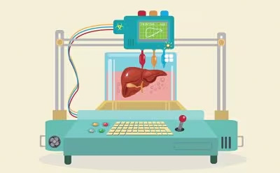 Color illustration of a printer generating a liver