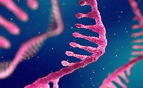 蓝色背景下的粉红色 RNA 链特写，展示了核糖核酸的复杂结构，核苷酸清晰可见，呈现三维立体感。