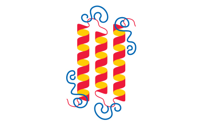 三条平行α螺旋被柔性PEG链包裹，在蛋白质结构周围形成水合空间位阻屏障的示意图。