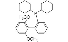 一幅化学结构图，展示了磷原子（P）与多个基团的连接关系。该结构包含两个环己烷环、一个甲氧基（OCH₃）和一个苯环。该图阐释了磷配体中原子与键的排列方式。