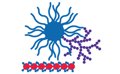 ATRP、RAFT 和 NMP 被视为受控自由基聚合中的关键方法。