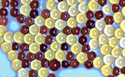 Milli-Q水净化系统中使用的离子交换珠