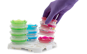 一只戴着紫色丁腈手套的手，正操作着一摞装满彩色培养基的培养皿。这些培养皿按颜色分层堆叠，包括绿色、蓝色、粉色和红色。