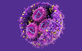 Rendering of a lipid nanoparticle, which consists of different lipids and mRNA inside
