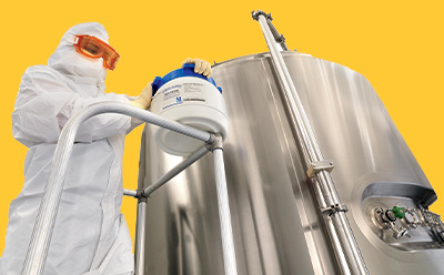 Bioprocessing Cell Culture