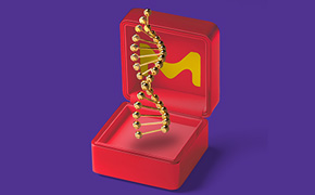 红色首饰盒，紫色背景上点缀着鲜黄色的M字母，呈现出金色的DNA链。