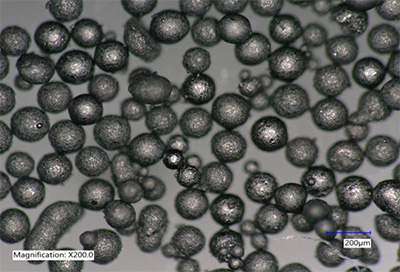 Microscopic image Carbosieve Voyager