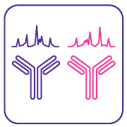 用于确定批次间产品和生物仿制药可比性的单克隆抗体（mAb）检测试剂盒