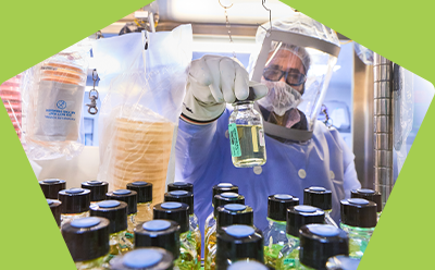 细胞和病毒库检测