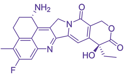 依喜替康的化学结构 (CAS 171335-80-1)